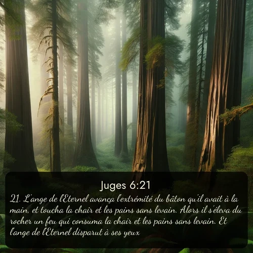 Segond Juges  ; image nature: image avec le verset biblique :L&#039;ange de l&#039;Eternel avança l&#039;extrémité du bâton qu&#039;il avait à la main, et toucha la chair et les pains sans levain. Alors il s&#039;éleva du rocher un feu qui consuma la chair et les pains sans levain. Et l&#039;ange de l&#039;Eternel disparut à ses yeux. ;  ; 6:21