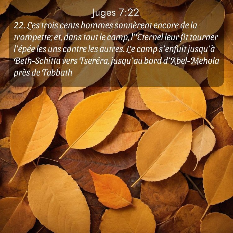 image nature avec verset biblique de la Bible