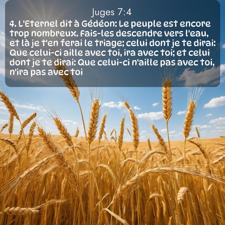 image nature avec verset biblique de la Bible