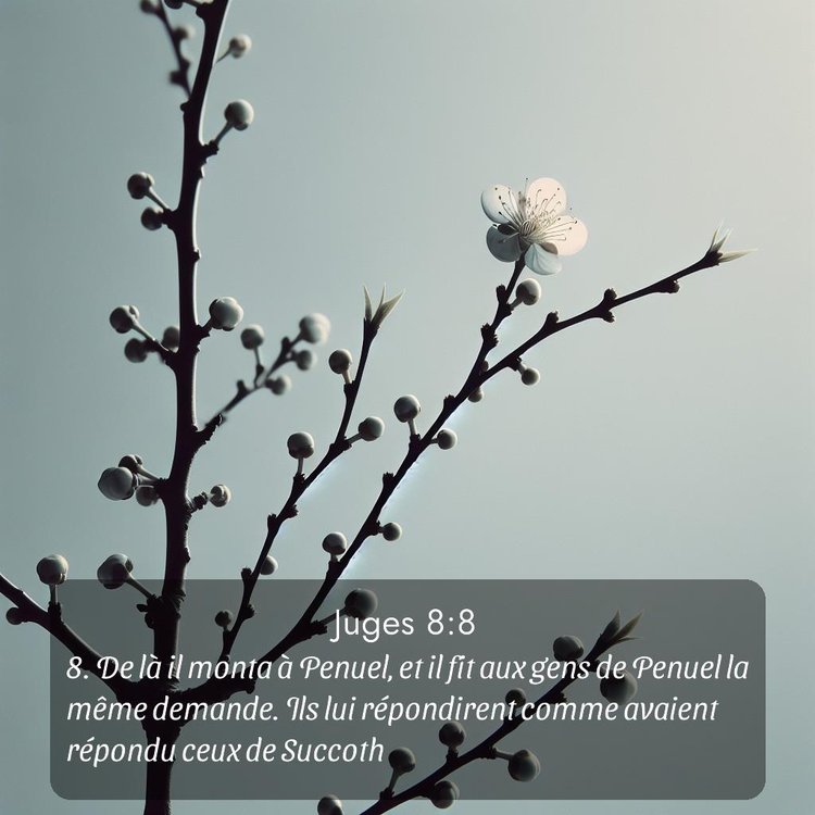 image nature avec verset biblique de la Bible
