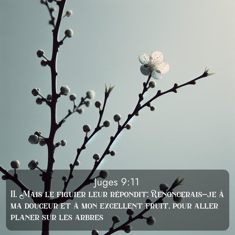 image nature avec verset biblique de la Bible