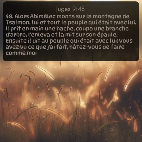 Segond Juges  ; image nature: image avec le verset biblique :Alors Abimélec monta sur la montagne de Tsalmon, lui et tout le peuple qui était avec lui. Il prit en main une hache, coupa une branche d&#039;arbre, l&#039;enleva et la mit sur son épaule. Ensuite il dit au peuple qui était avec lui: Vous avez vu ce que j&#039;ai fait, hâtez-vous de faire comme moi. ;  ; 9:48
