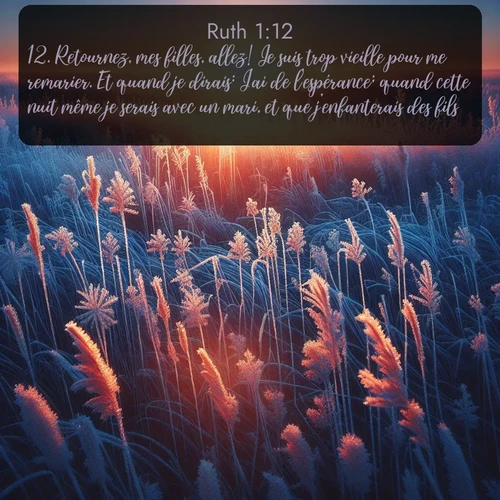 Segond Ruth  ; image nature: image avec le verset biblique :Retournez, mes filles, allez! Je suis trop vieille pour me remarier. Et quand je dirais: J&#039;ai de l&#039;espérance; quand cette nuit même je serais avec un mari, et que j&#039;enfanterais des fils, ;  ; 1:12