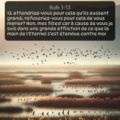 Segond Ruth  ; image nature: image avec le verset biblique :attendriez-vous pour cela qu&#039;ils eussent grandi, refuseriez-vous pour cela de vous marier? Non, mes filles! car à cause de vous je suis dans une grande affliction de ce que la main de l&#039;Eternel s&#039;est étendue contre moi. ;  ; 1:13