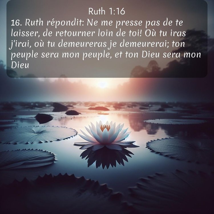 Segond Ruth 1:16