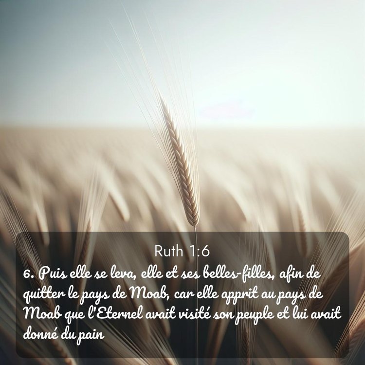 Segond Ruth 1:6