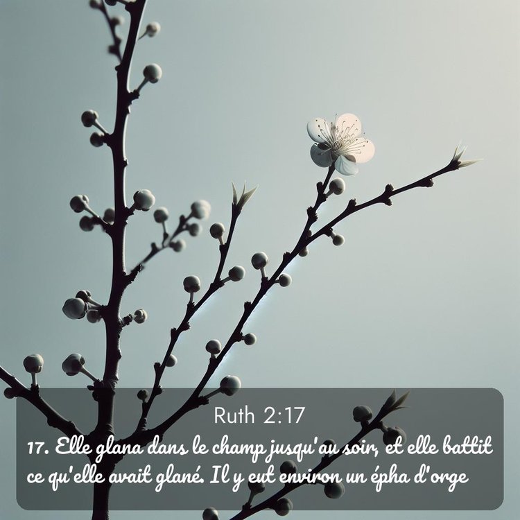 image nature avec verset biblique de la Bible