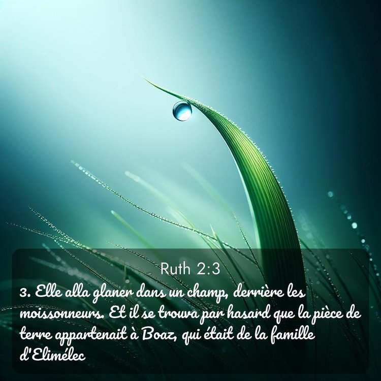 image nature avec verset biblique de la Bible
