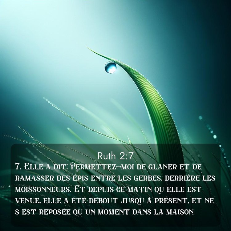 Segond Ruth 2:7