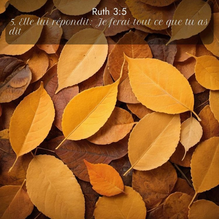 image nature avec verset biblique de la Bible
