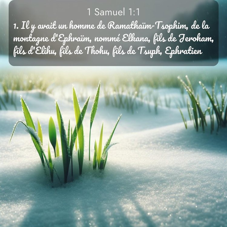 Segond 1 Samuel 1:1