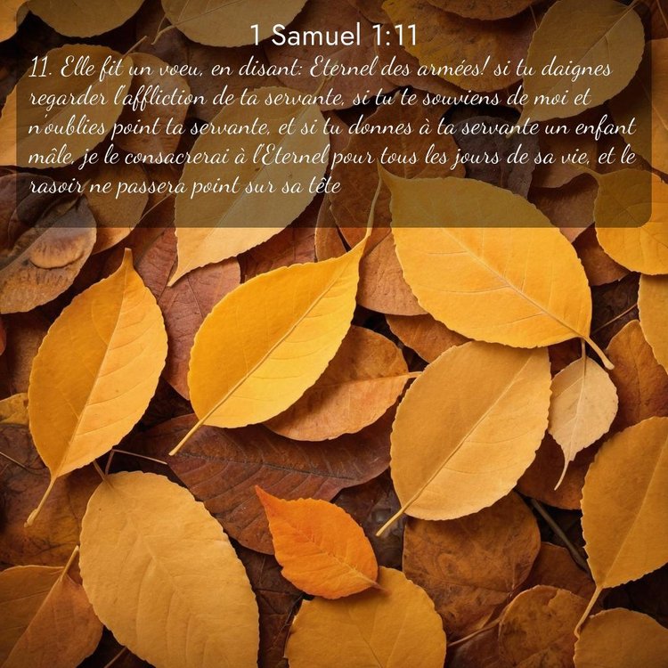 Segond 1 Samuel 1:11