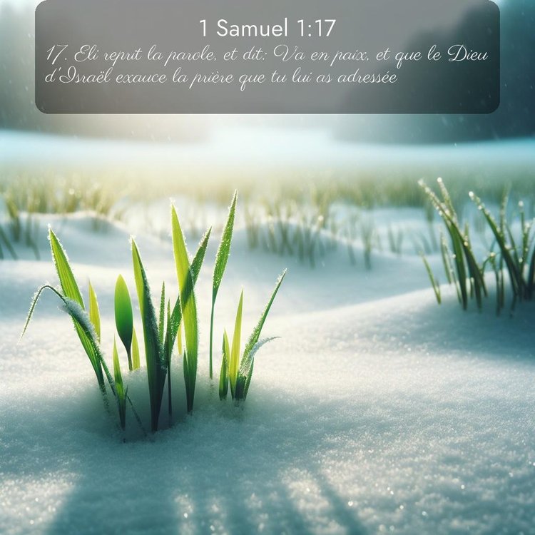 Segond 1 Samuel 1:17