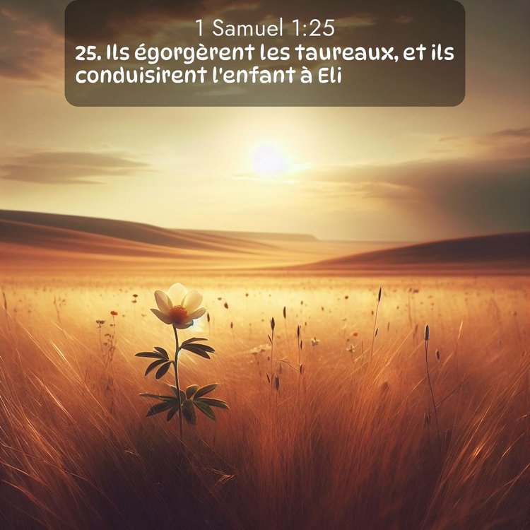 Segond 1 Samuel 1:25