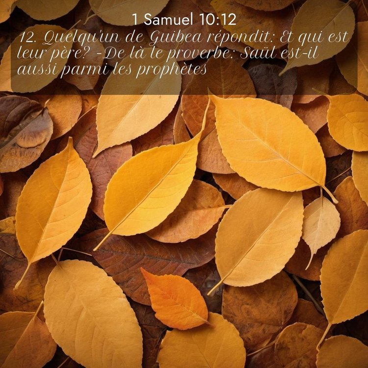 Segond 1 Samuel 10:12