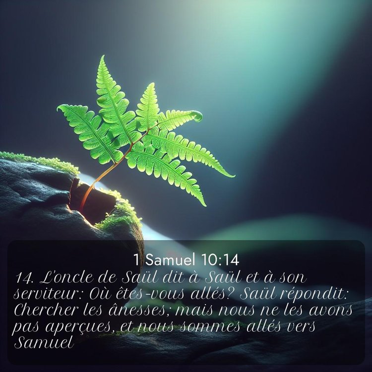 Segond 1 Samuel 10:14