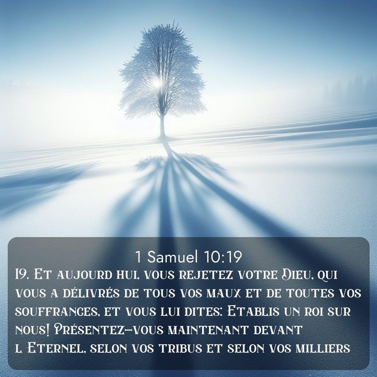 Segond 1 Samuel 10:19