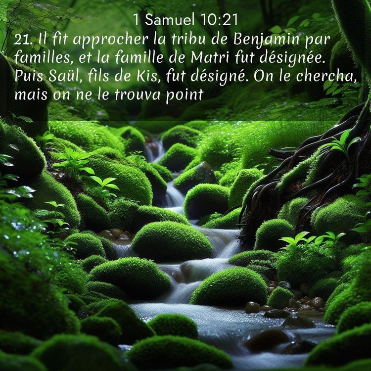 Segond 1 Samuel 10:21