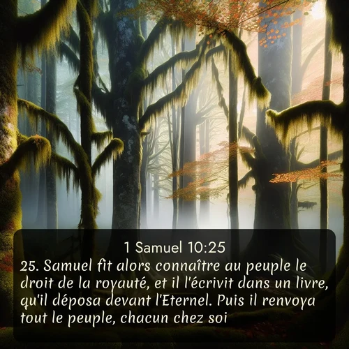 Segond 1 Samuel  ; image nature: image avec le verset biblique :Samuel fit alors connaître au peuple le droit de la royauté, et il l&#039;écrivit dans un livre, qu&#039;il déposa devant l&#039;Eternel. Puis il renvoya tout le peuple, chacun chez soi. ;  ; 10:25