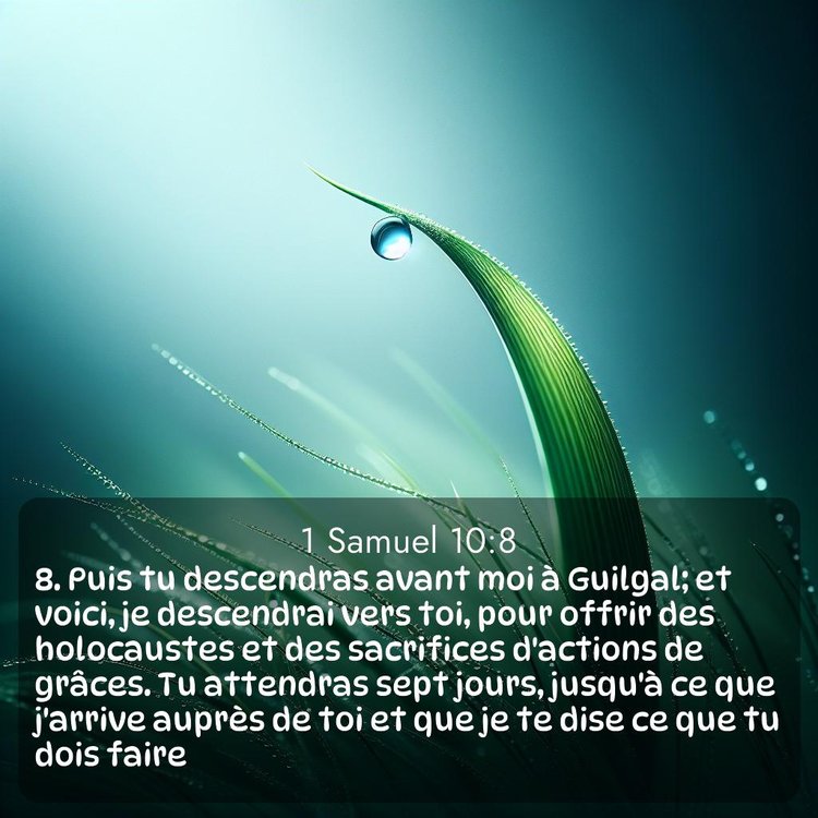 Segond 1 Samuel 10:8