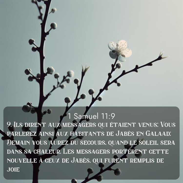 image nature avec verset biblique de la Bible