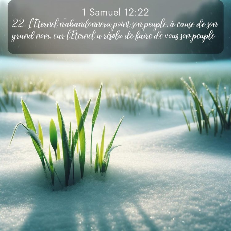 Segond 1 Samuel 12:22