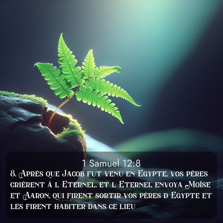 image nature avec verset biblique de la Bible