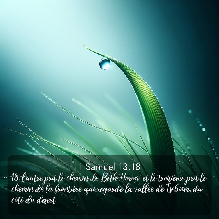 Segond 1 Samuel 13:18