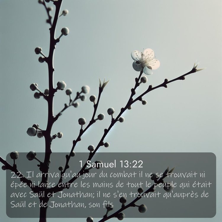 image nature avec verset biblique de la Bible