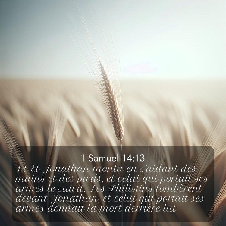 Segond 1 Samuel 14:13