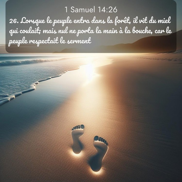 Segond 1 Samuel 14:26