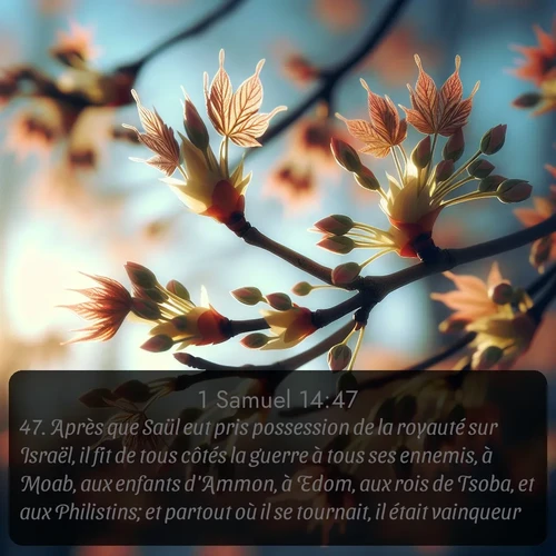Segond 1 Samuel  ; image nature: image avec le verset biblique :Après que Saül eut pris possession de la royauté sur Israël, il fit de tous côtés la guerre à tous ses ennemis, à Moab, aux enfants d&#039;Ammon, à Edom, aux rois de Tsoba, et aux Philistins; et partout où il se tournait, il était vainqueur. ;  ; 14:47