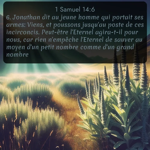 Segond 1 Samuel  ; image nature: image avec le verset biblique :Jonathan dit au jeune homme qui portait ses armes: Viens, et poussons jusqu&#039;au poste de ces incirconcis. Peut-être l&#039;Eternel agira-t-il pour nous, car rien n&#039;empêche l&#039;Eternel de sauver au moyen d&#039;un petit nombre comme d&#039;un grand nombre. ;  ; 14:6