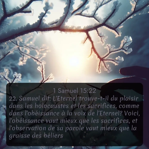 Segond 1 Samuel  ; image nature: image avec le verset biblique :Samuel dit: L&#039;Eternel trouve-t-il du plaisir dans les holocaustes et les sacrifices, comme dans l&#039;obéissance à la voix de l&#039;Eternel? Voici, l&#039;obéissance vaut mieux que les sacrifices, et l&#039;observation de sa parole vaut mieux que la graisse des béliers. ;  ; 15:22