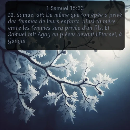 Segond 1 Samuel  ; image nature: image avec le verset biblique :Samuel dit: De même que ton épée a privé des femmes de leurs enfants, ainsi ta mère entre les femmes sera privée d&#039;un fils. Et Samuel mit Agag en pièces devant l&#039;Eternel, à Guilgal. ;  ; 15:33