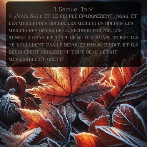 Segond 1 Samuel  ; image nature: image avec le verset biblique :Mais Saül et le peuple épargnèrent Agag, et les meilleures brebis, les meilleurs boeufs, les meilleures bêtes de la seconde portée, les agneaux gras, et tout ce qu&#039;il y avait de bon; ils ne voulurent pas le dévouer par interdit, et ils dévouèrent seulement tout ce qui était méprisable et chétif. ;  ; 15:9