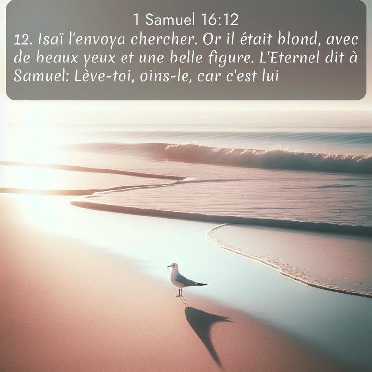 image nature avec verset biblique de la Bible