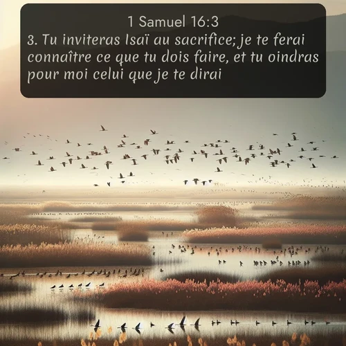 Segond 1 Samuel  ; image nature: image avec le verset biblique :Tu inviteras Isaï au sacrifice; je te ferai connaître ce que tu dois faire, et tu oindras pour moi celui que je te dirai. ;  ; 16:3