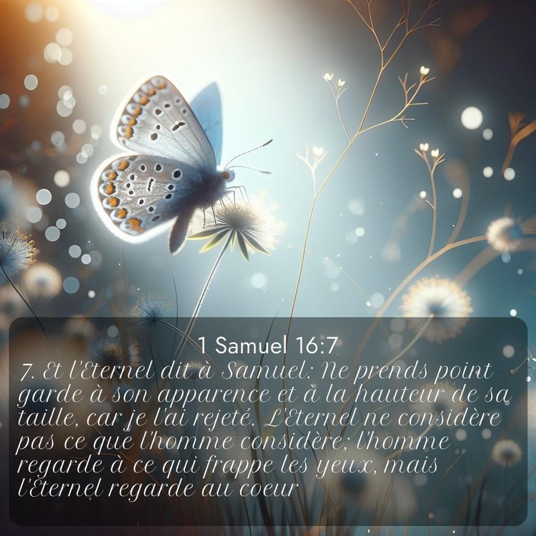 Segond 1 Samuel 16:7