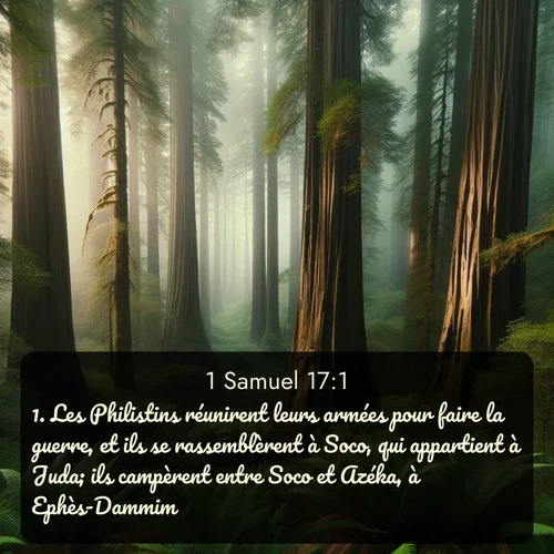 Segond 1 Samuel  ; image nature: image avec le verset biblique :Les Philistins réunirent leurs armées pour faire la guerre, et ils se rassemblèrent à Soco, qui appartient à Juda; ils campèrent entre Soco et Azéka, à Ephès-Dammim. ;  ; 17:1