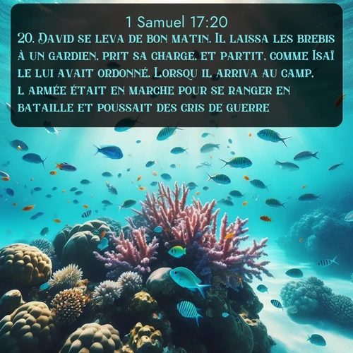 Segond 1 Samuel  ; image nature: image avec le verset biblique :David se leva de bon matin. Il laissa les brebis à un gardien, prit sa charge, et partit, comme Isaï le lui avait ordonné. Lorsqu&#039;il arriva au camp, l&#039;armée était en marche pour se ranger en bataille et poussait des cris de guerre. ;  ; 17:20
