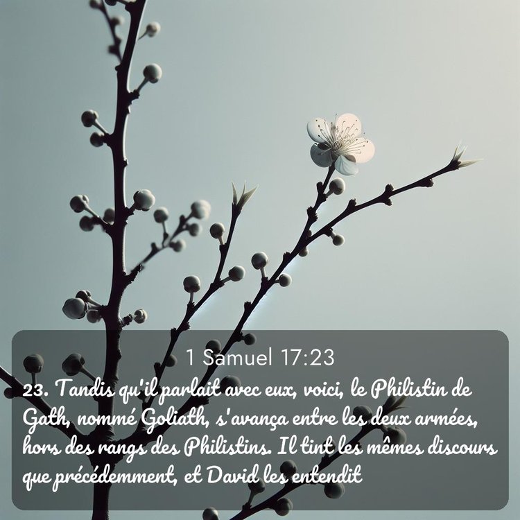 image nature avec verset biblique de la Bible