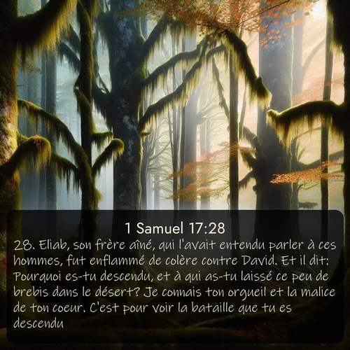 Segond 1 Samuel  ; image nature: image avec le verset biblique :Eliab, son frère aîné, qui l&#039;avait entendu parler à ces hommes, fut enflammé de colère contre David. Et il dit: Pourquoi es-tu descendu, et à qui as-tu laissé ce peu de brebis dans le désert? Je connais ton orgueil et la malice de ton coeur. C&#039;est pour voir la bataille que tu es descendu. ;  ; 17:28