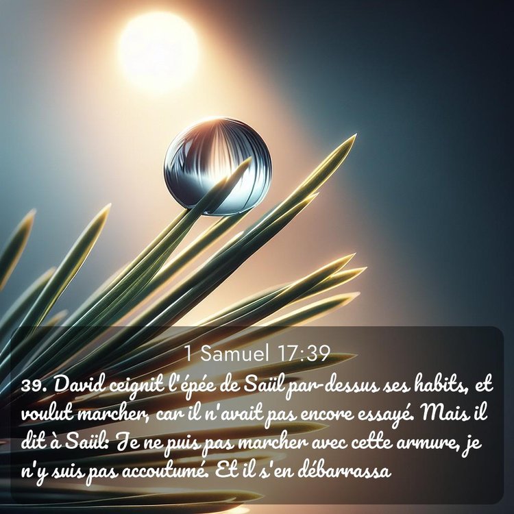 image nature avec verset biblique de la Bible