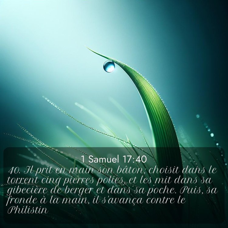 Segond 1 Samuel 17:40