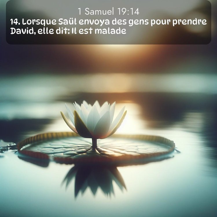 image nature avec verset biblique de la Bible