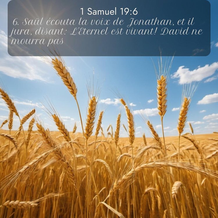 image nature avec verset biblique de la Bible