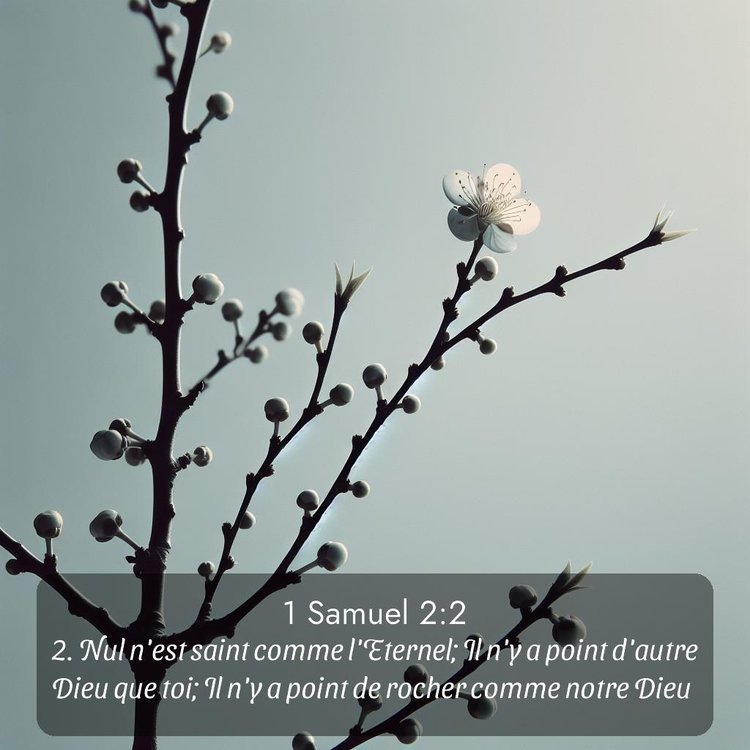 image nature avec verset biblique de la Bible