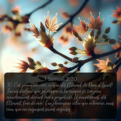 Segond 1 Samuel  ; image nature: image avec le verset biblique :C&#039;est pourquoi voici ce que dit l&#039;Eternel, le Dieu d&#039;Israël: J&#039;avais déclaré que ta maison et la maison de ton père marcheraient devant moi à perpétuité. Et maintenant, dit l&#039;Eternel, loin de moi! Car j&#039;honorerai celui qui m&#039;honore, mais ceux qui me méprisent seront méprisés. ;  ; 2:30