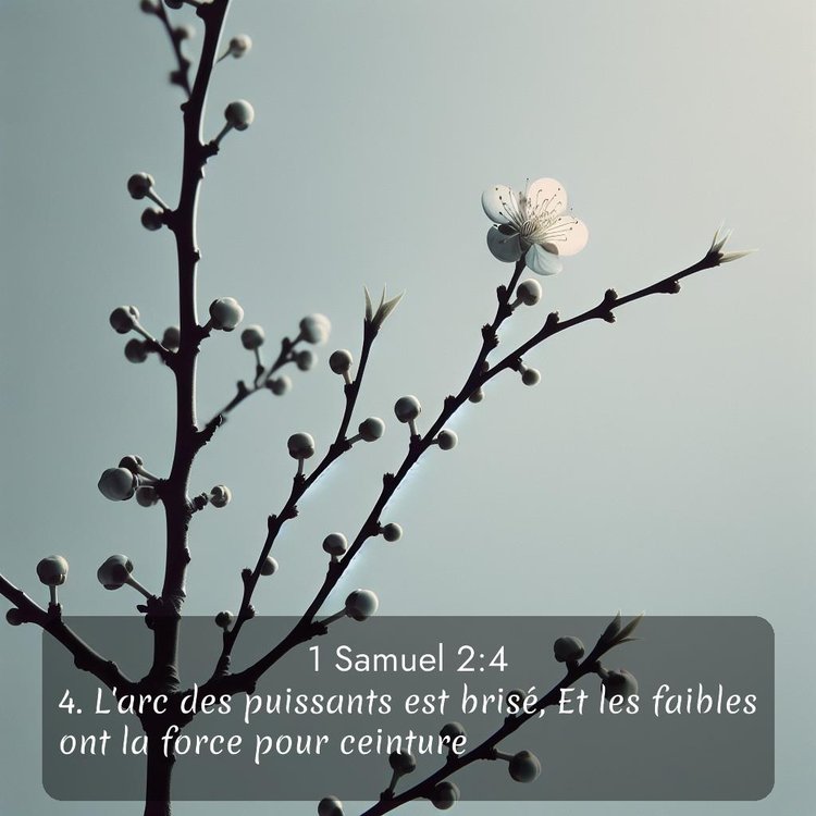 image nature avec verset biblique de la Bible
